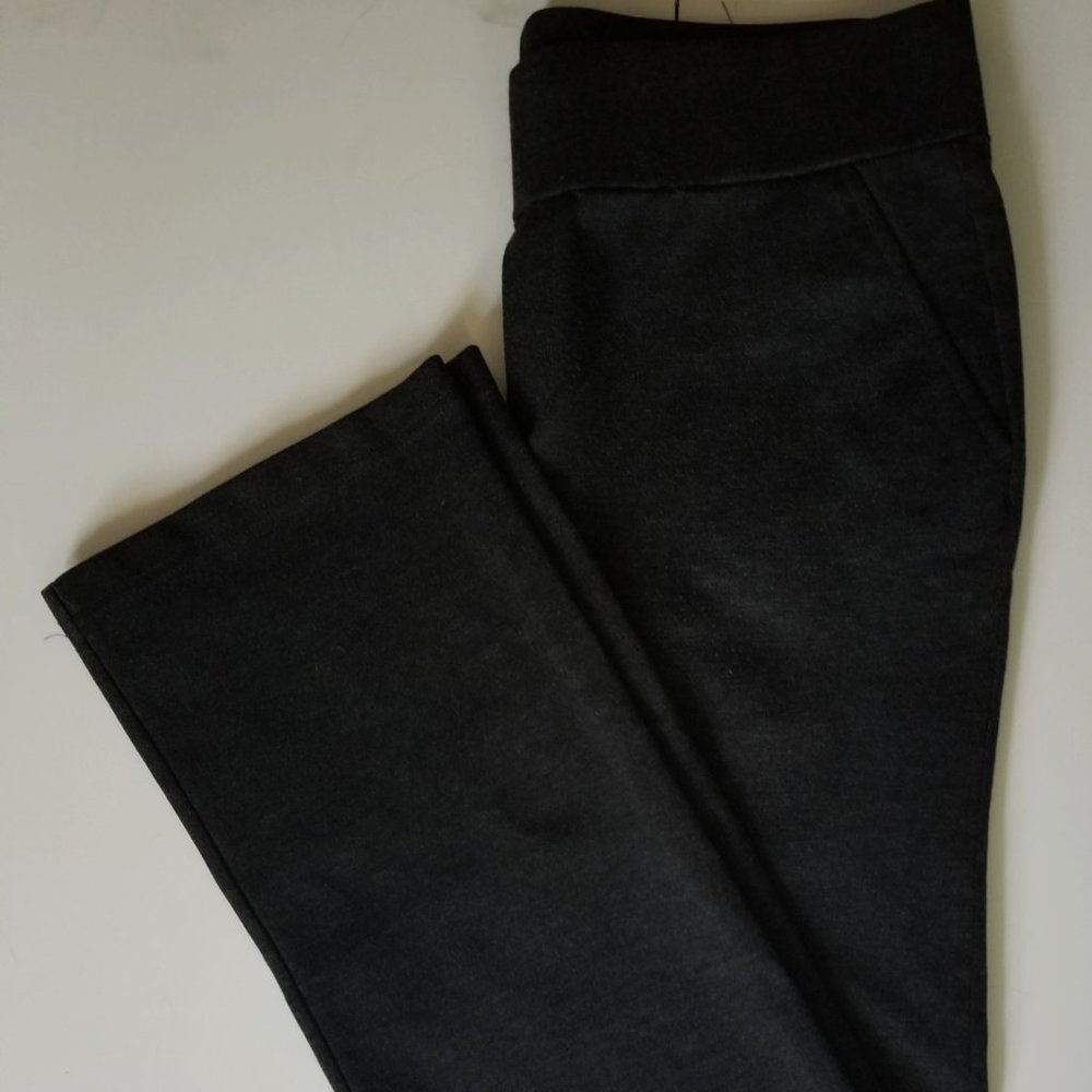 Daisy Fuentes Bootcut Pant